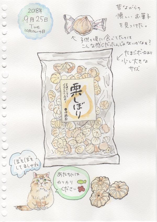 スキャン 4.jpg